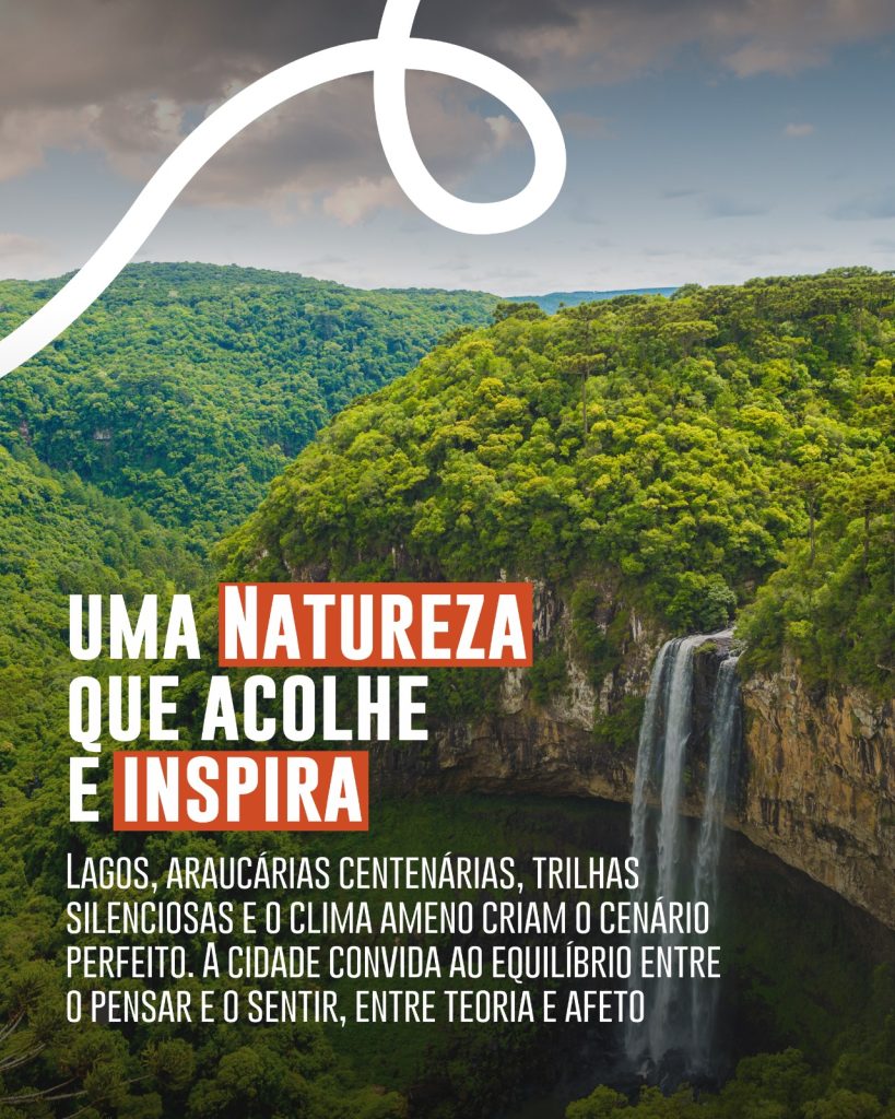 30º Congresso Brasileiro de Psicanálise - FEBRAPSI